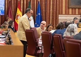 El PSOE del Ayuntamiento de Sevilla sale en defensa de Amama y ataca al PP: «Es una cacería deplorable»