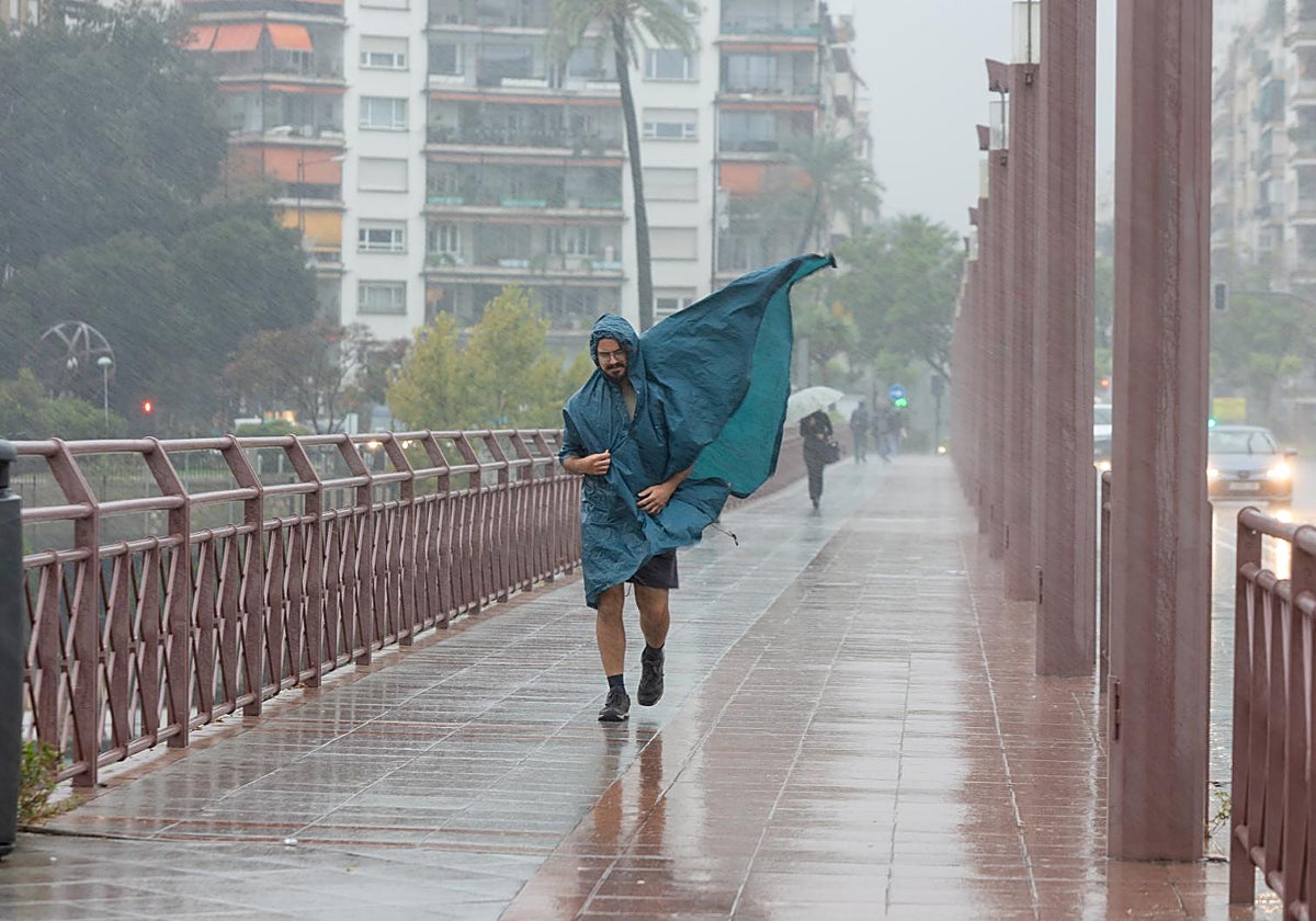 Fuerte lluvia y viento durante el miércoles en Sevilla