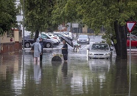 El Ayuntamiento de Sevilla moviliza 150.000 euros para los afectados por el temporal y agiliza nuevas infraestructuras