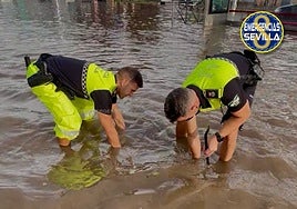 La Policía Local relata su jornada más crítica por el diluvio en Sevilla: «No había relevo posible; había que aguantar»