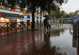 ¿Volverá a llover en Sevilla esta semana? Estas son las previsiones de la Aemet