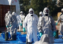 Simulacro de emergencia biológica en el Puerto de Sevilla para prevenir la propagación de un virus