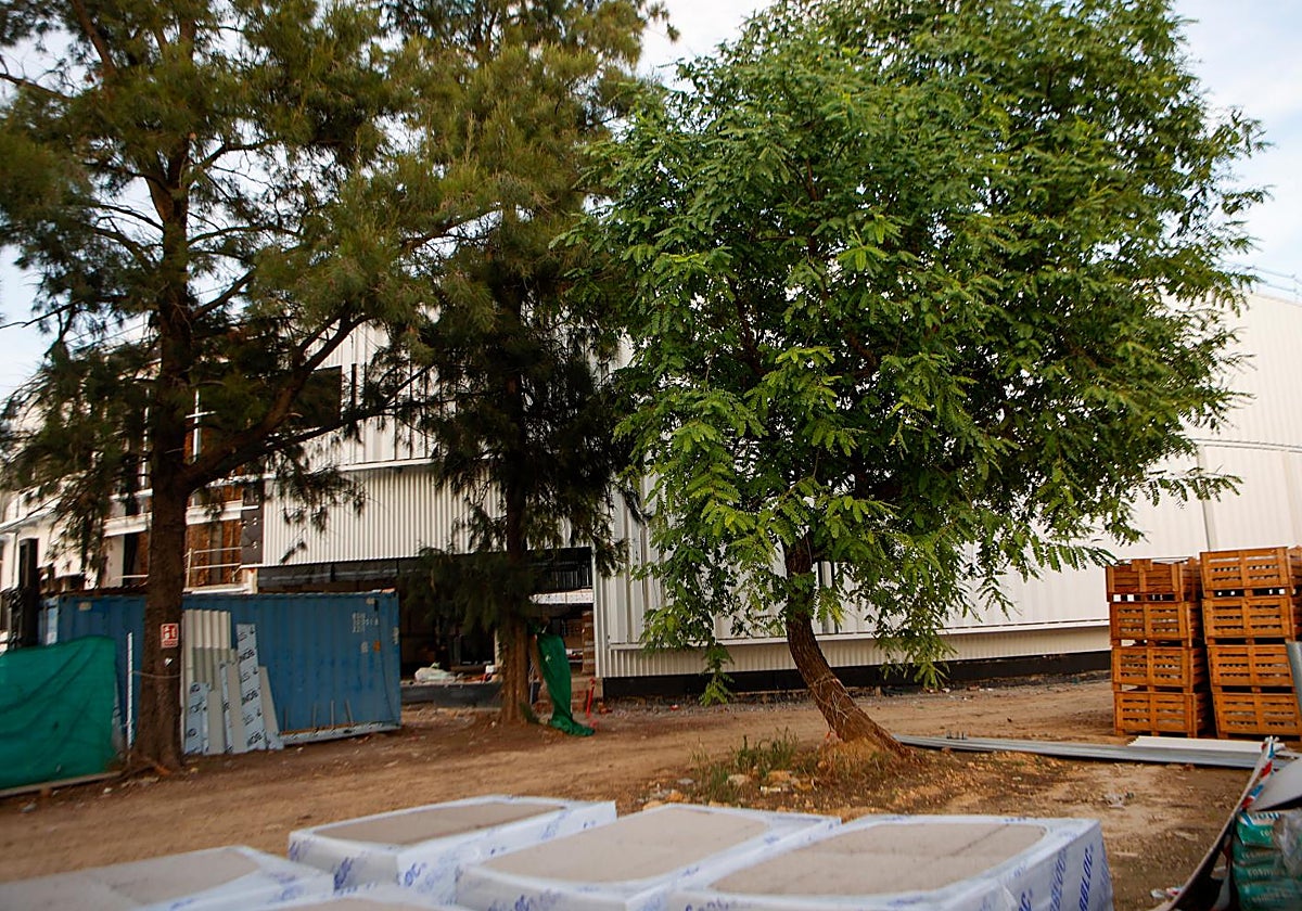 Una imagen de las obras del aulario