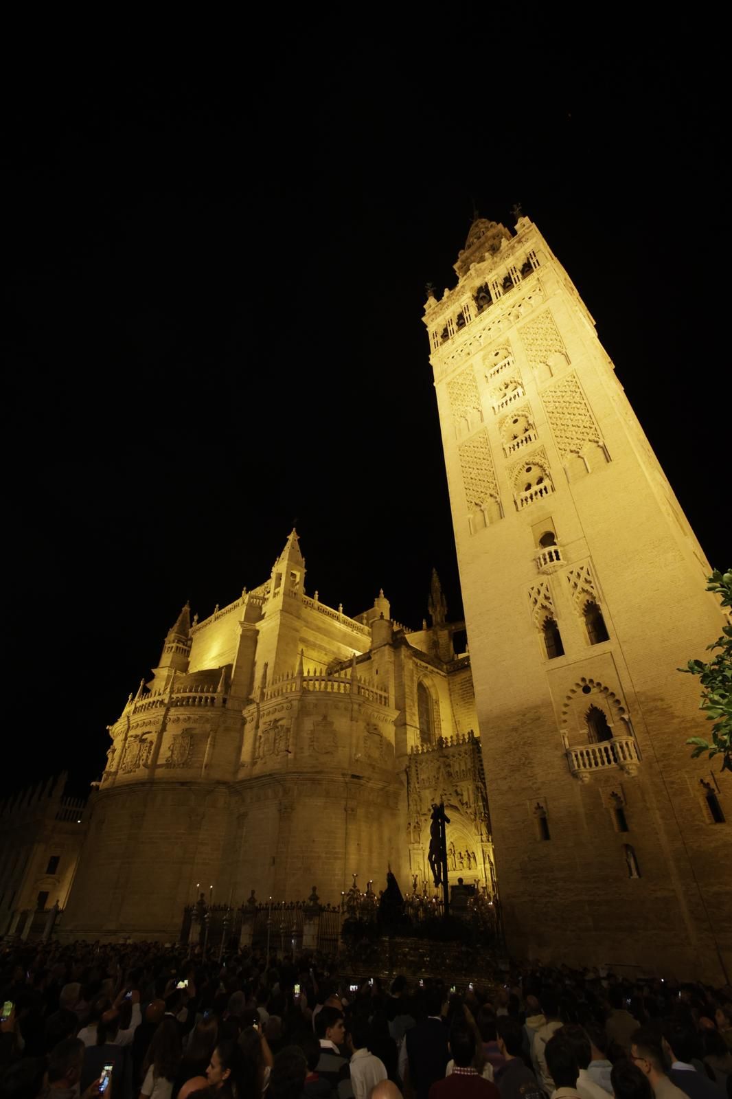 El traslado de la hermandad del Museo a la Catedral de Sevilla, en imágenes