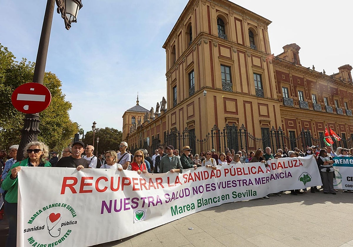 Pancartas de la protesta ante el Palacio de San Telmo