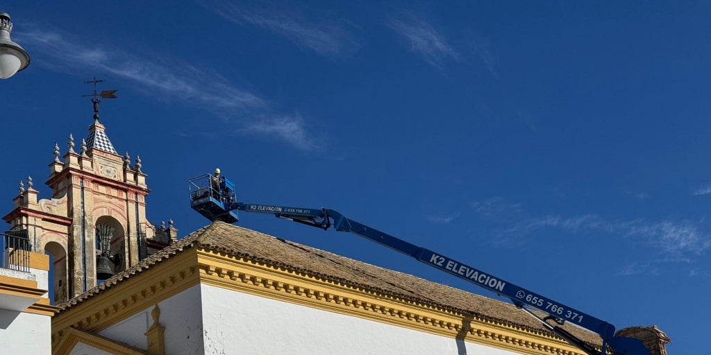 Retiran de una iglesia de Utrera dos nidos de cigüeñas que pesaban casi dos toneladas