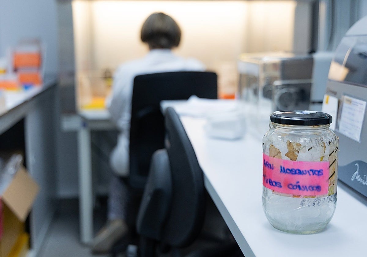 Frasco con muestra del virus del Nilo