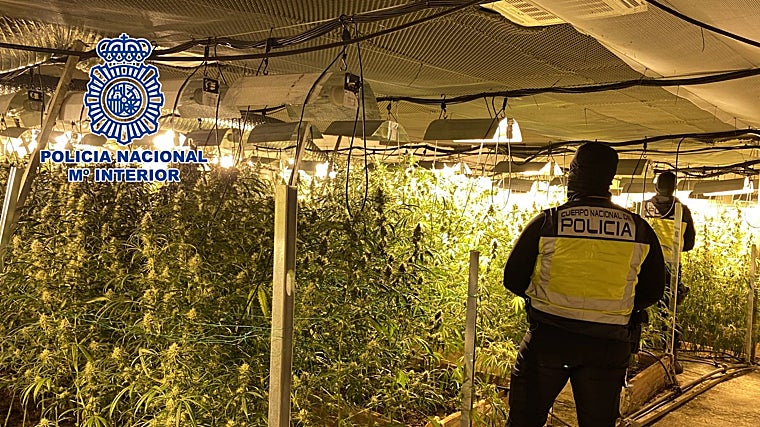 La Policía Nacional en una plantación