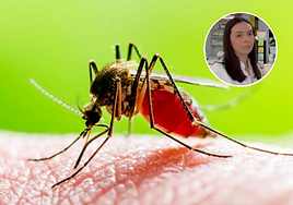 Rocío García, farmacéutica de Sevilla, sobre el la alerta por el virus del Nilo: «El principal método de protección personal es el uso de repelente»