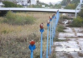 El Ayuntamiento de Sevilla renovará más de 1.500 farolas de la Cartuja que estaban desde la Expo