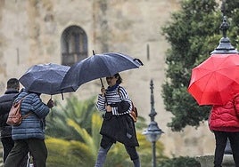 El Ayuntamiento de Sevilla mantendrá cerrados parques e instalaciones este viernes por el aviso amarillo por tormentas