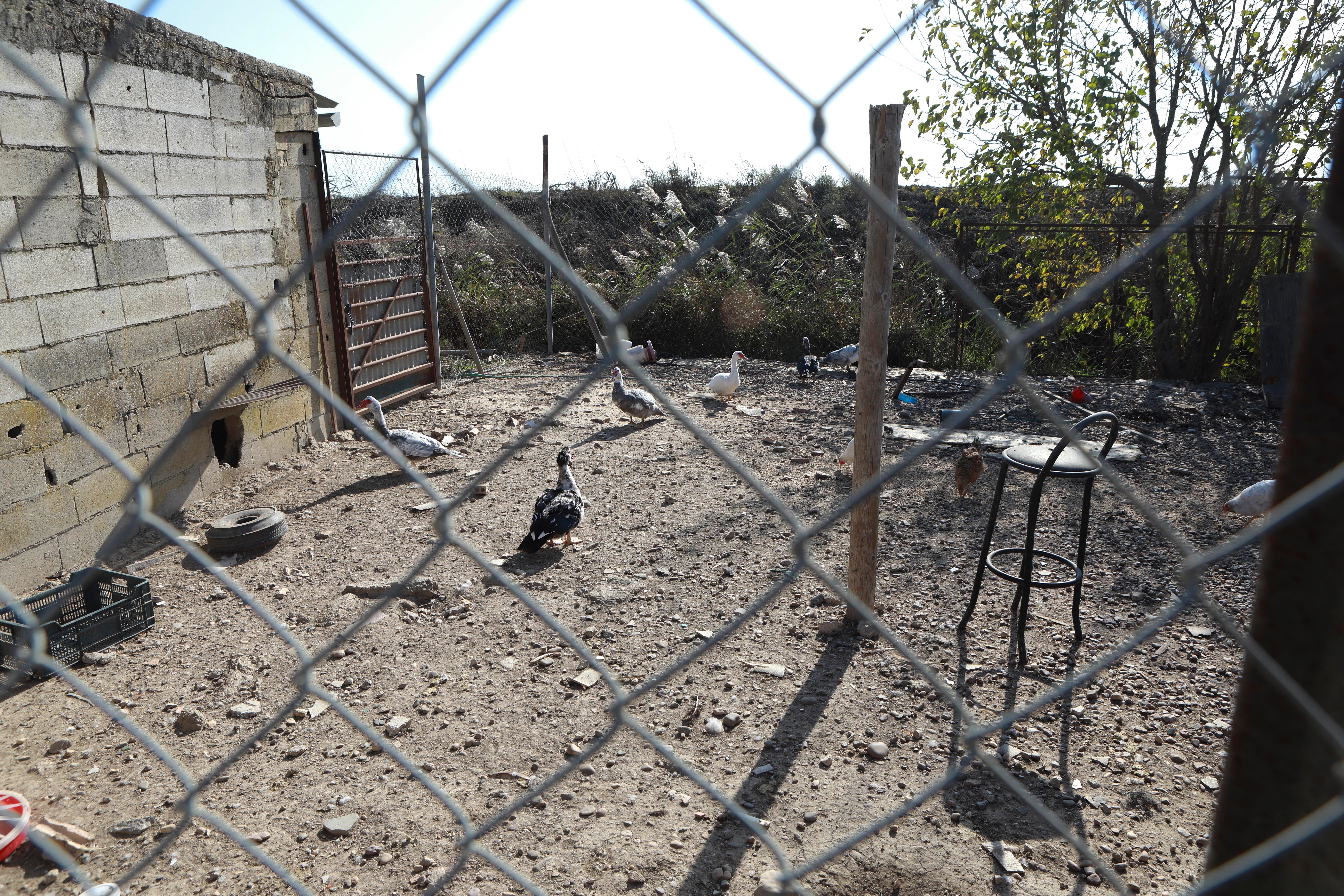 Isla Mayor, entre la ley del silencio y el estigma del narco, en imágenes