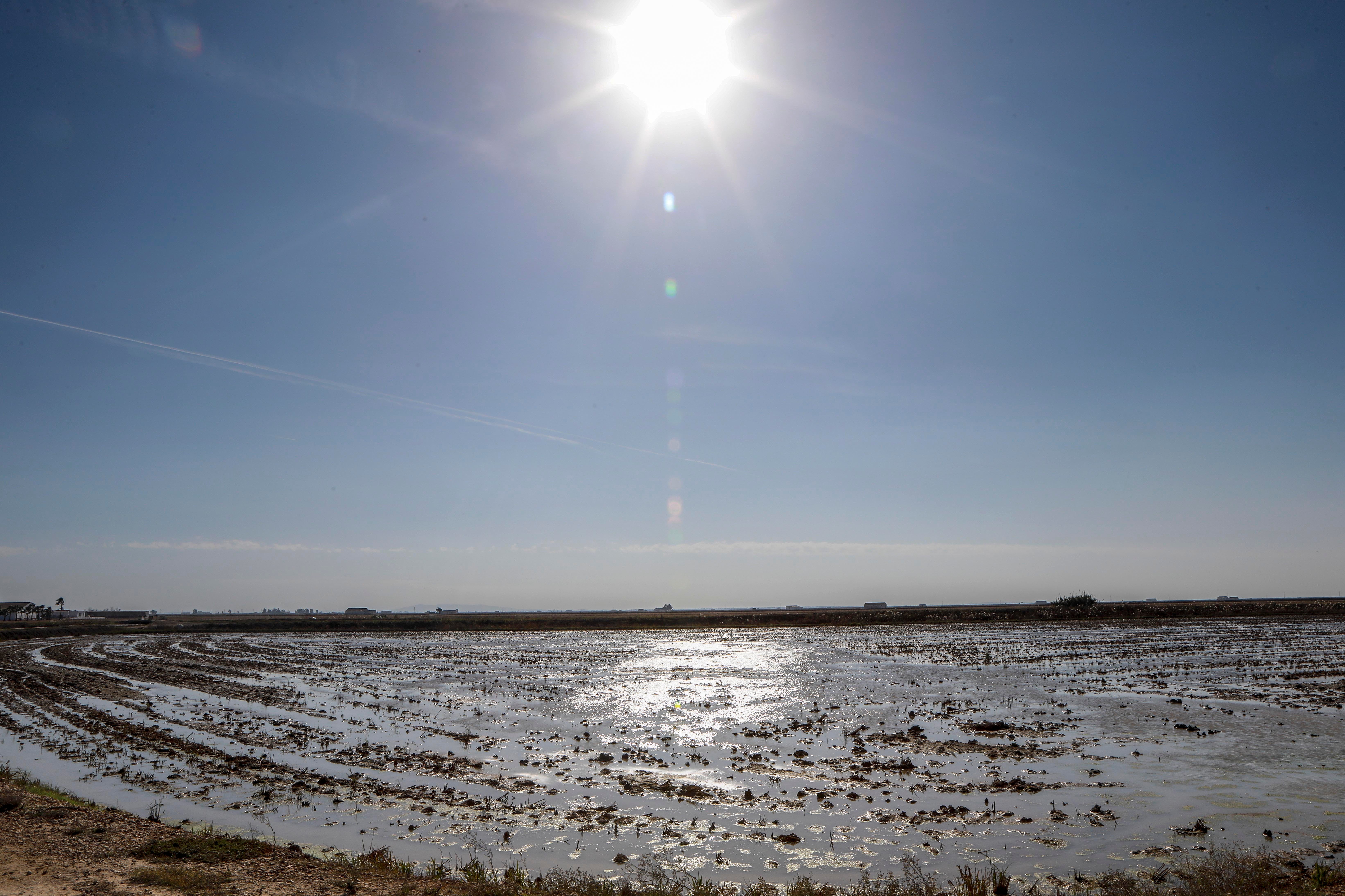 Isla Mayor, entre la ley del silencio y el estigma del narco, en imágenes