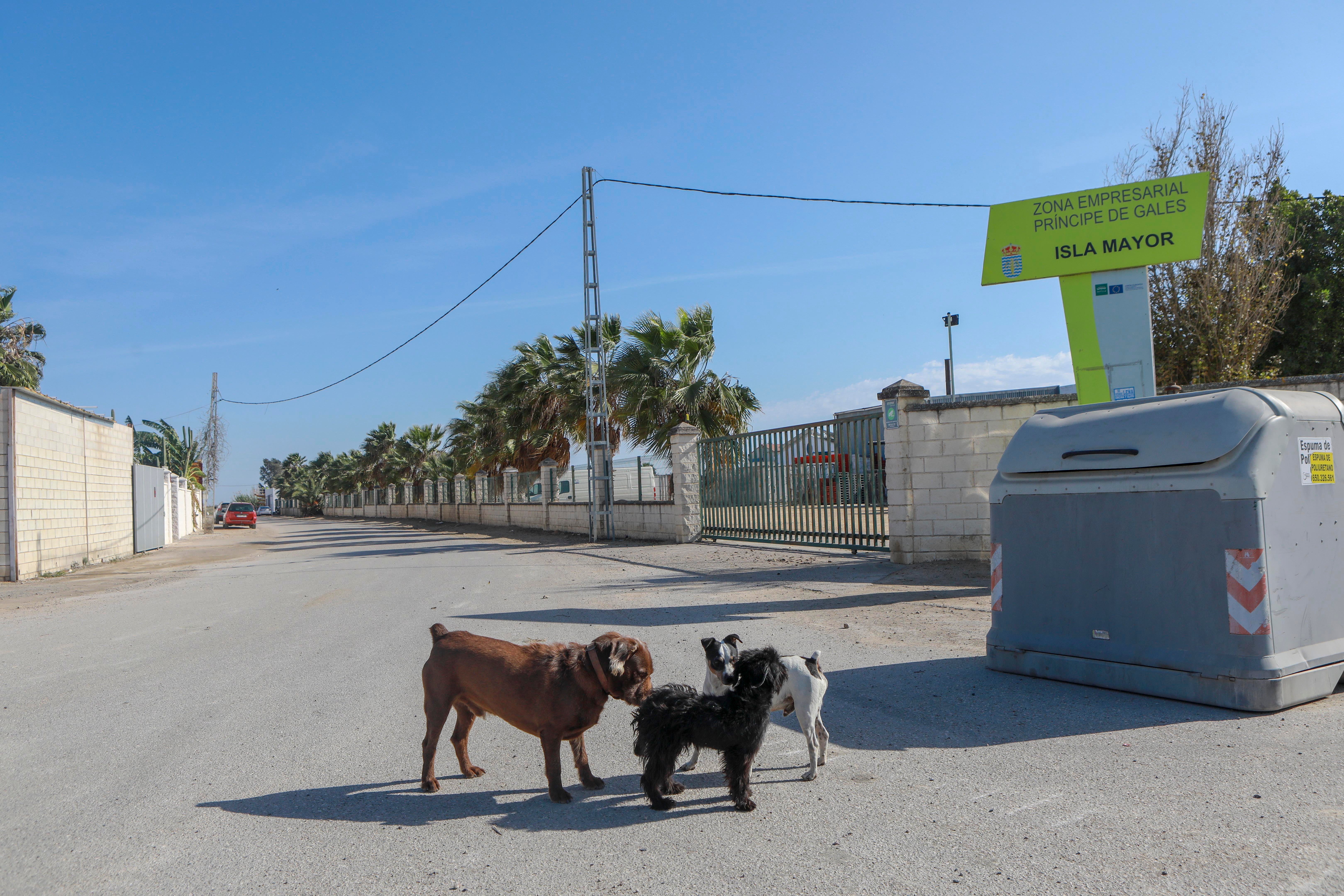 Isla Mayor, entre la ley del silencio y el estigma del narco, en imágenes