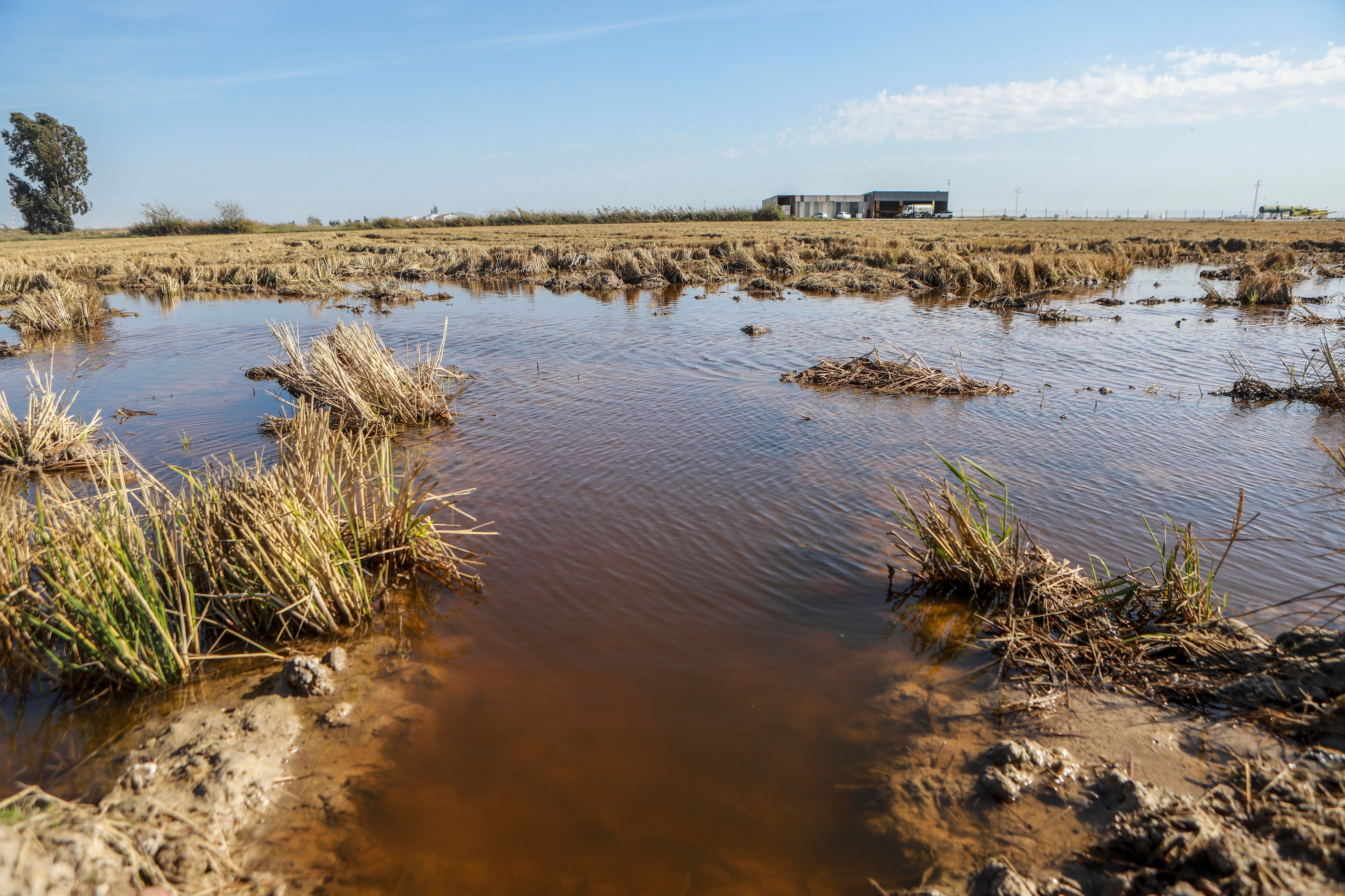 Isla Mayor, entre la ley del silencio y el estigma del narco, en imágenes