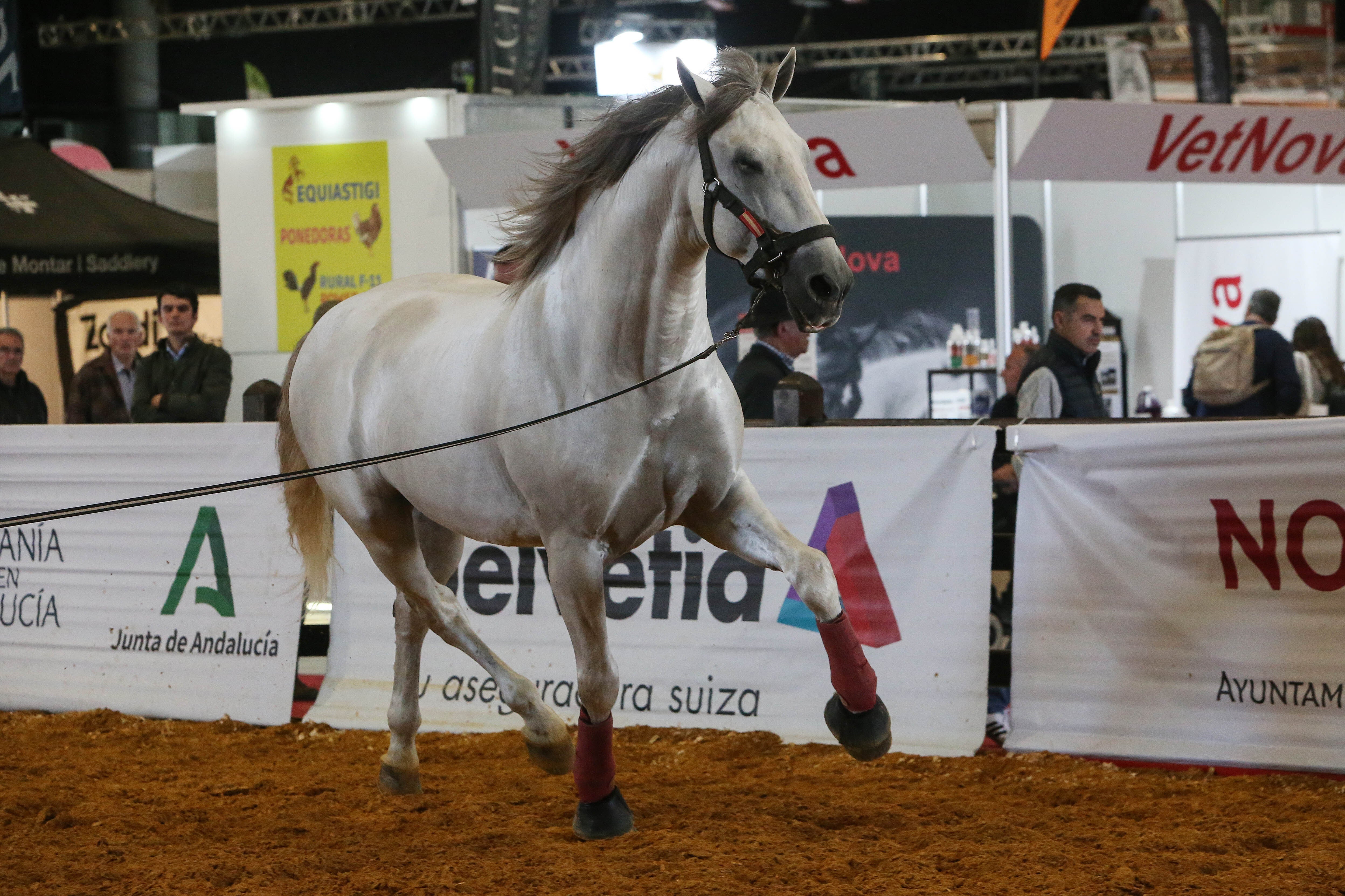 Las mejores imágenes de ambiente del primer día del Sicab