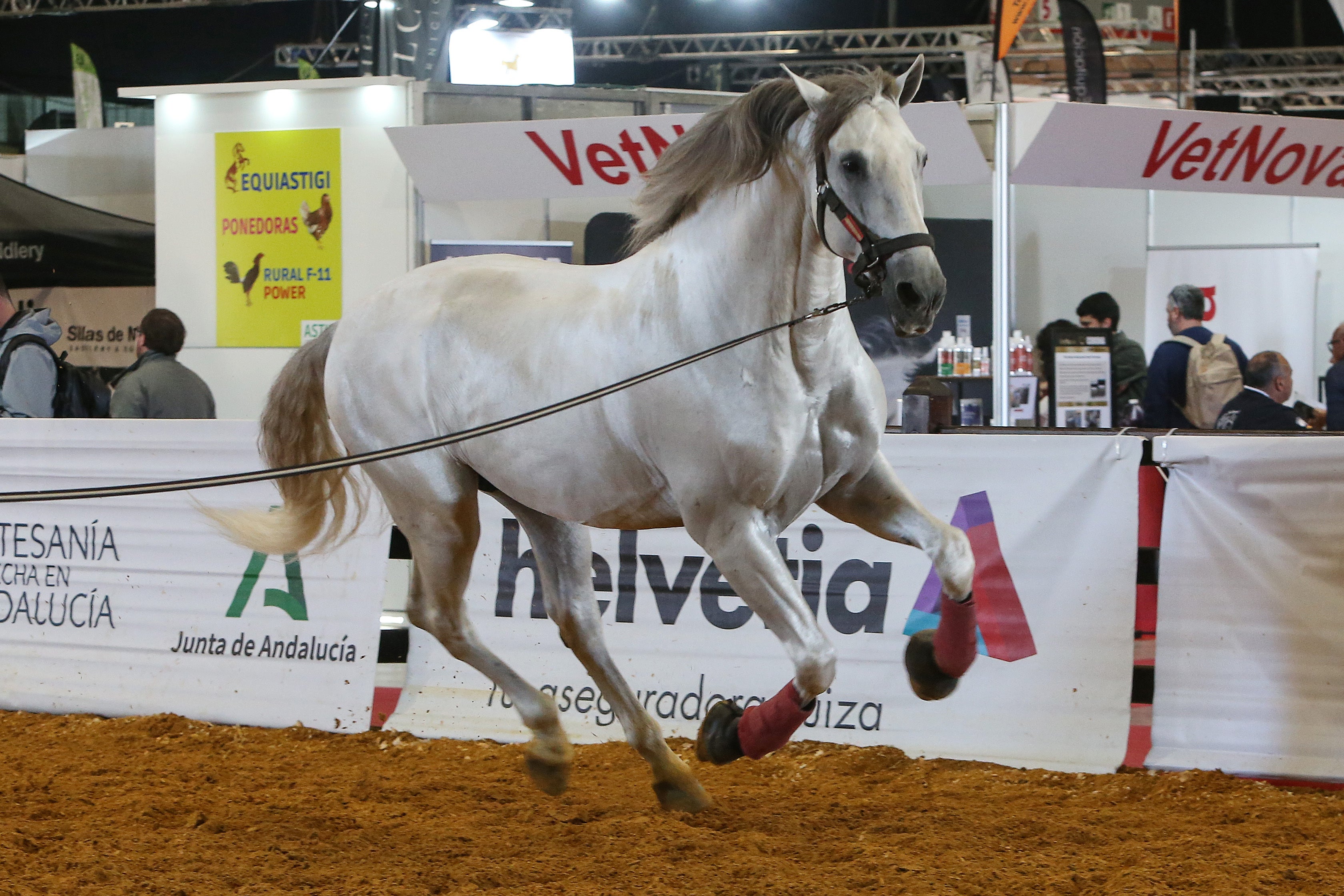 Las mejores imágenes de ambiente del primer día del Sicab