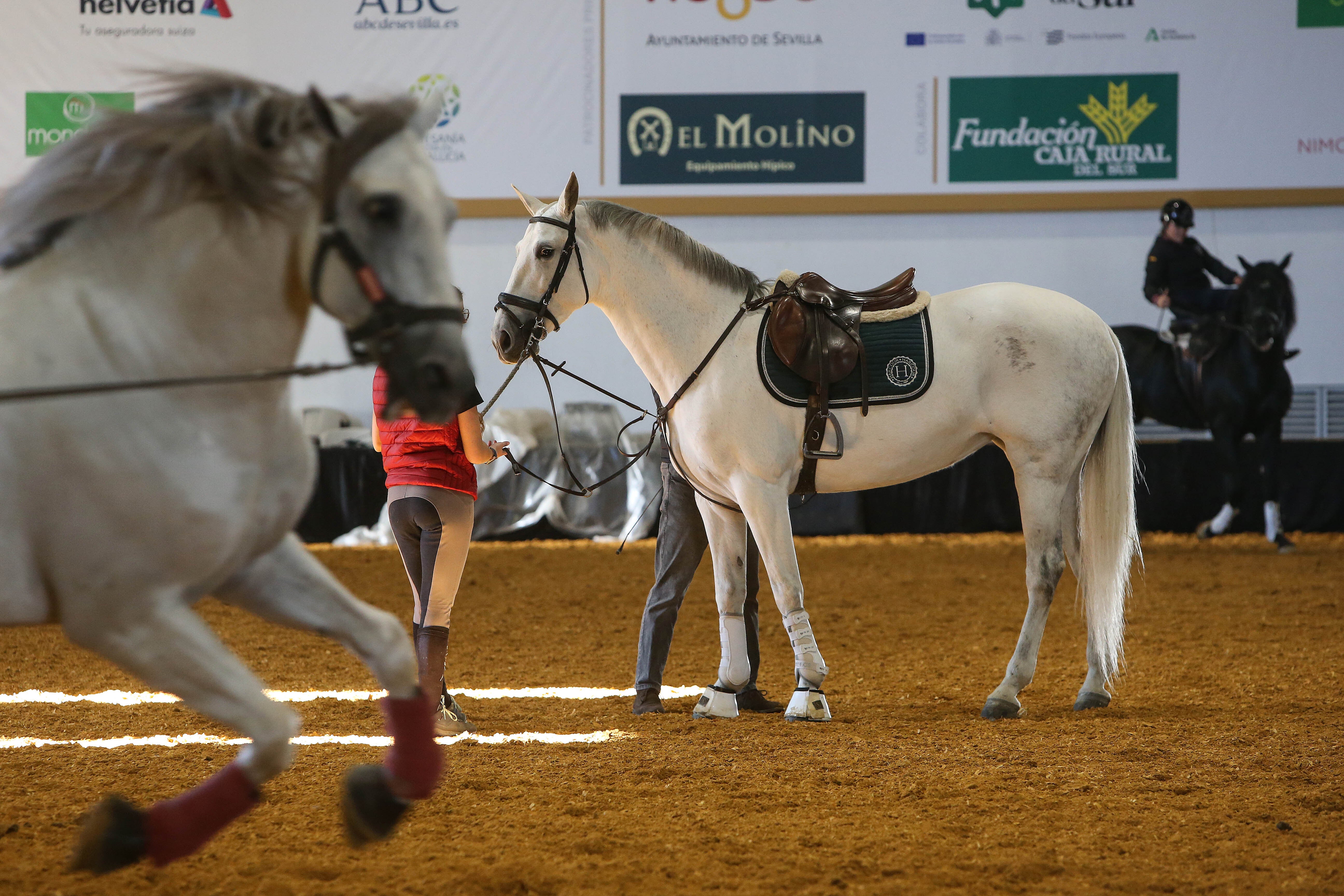Las mejores imágenes de ambiente del primer día del Sicab