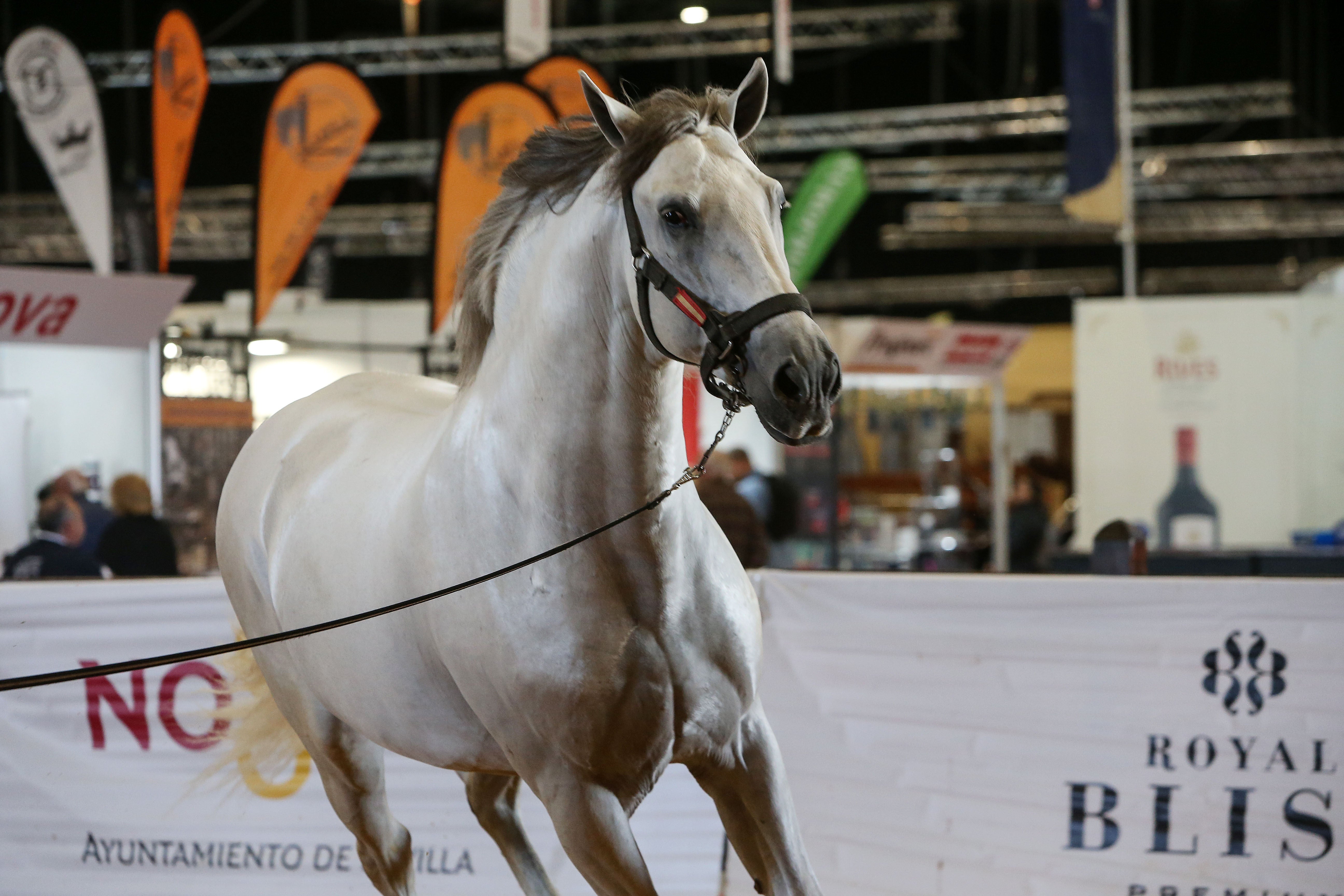 Las mejores imágenes de ambiente del primer día del Sicab