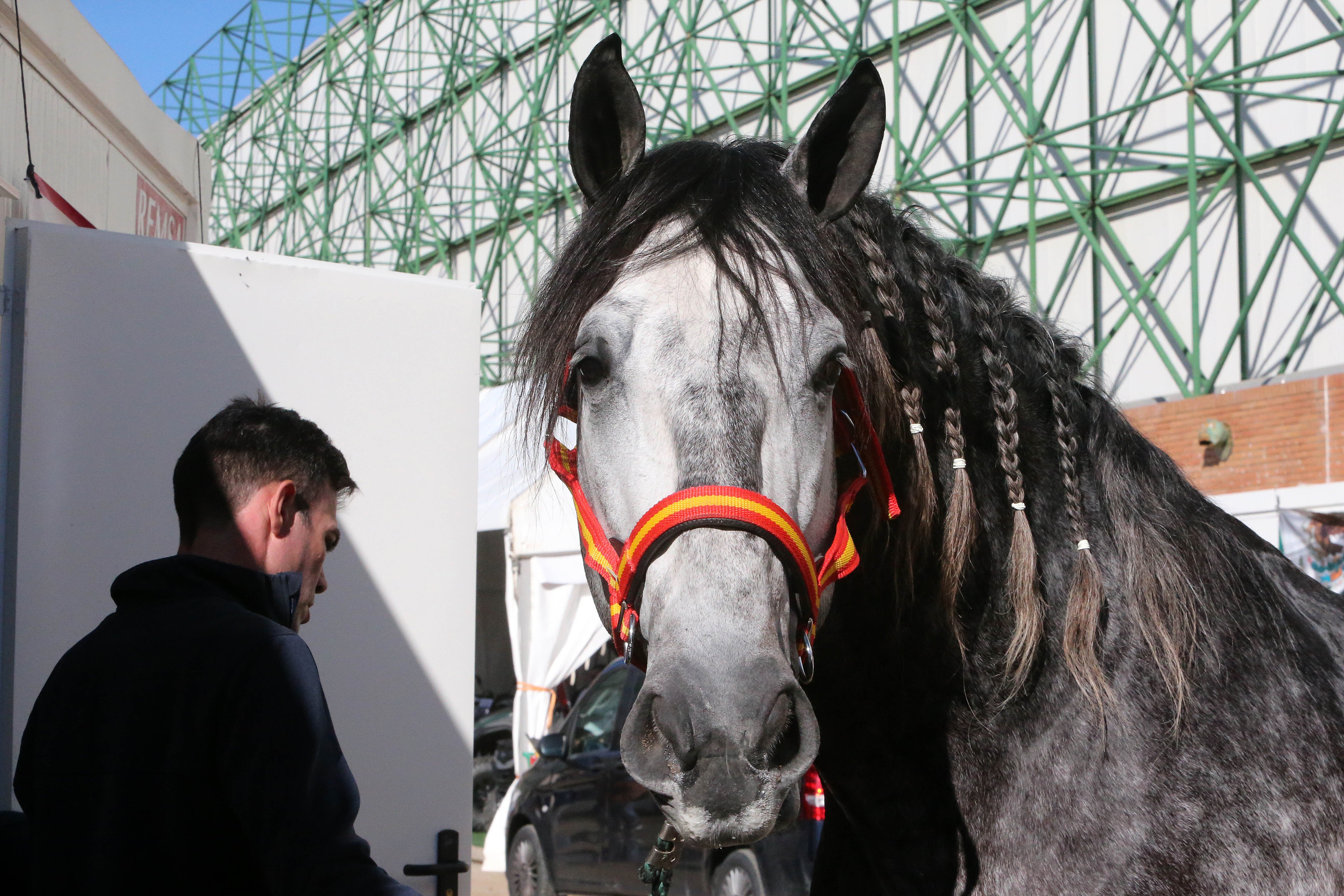 Las mejores imágenes de ambiente del primer día del Sicab