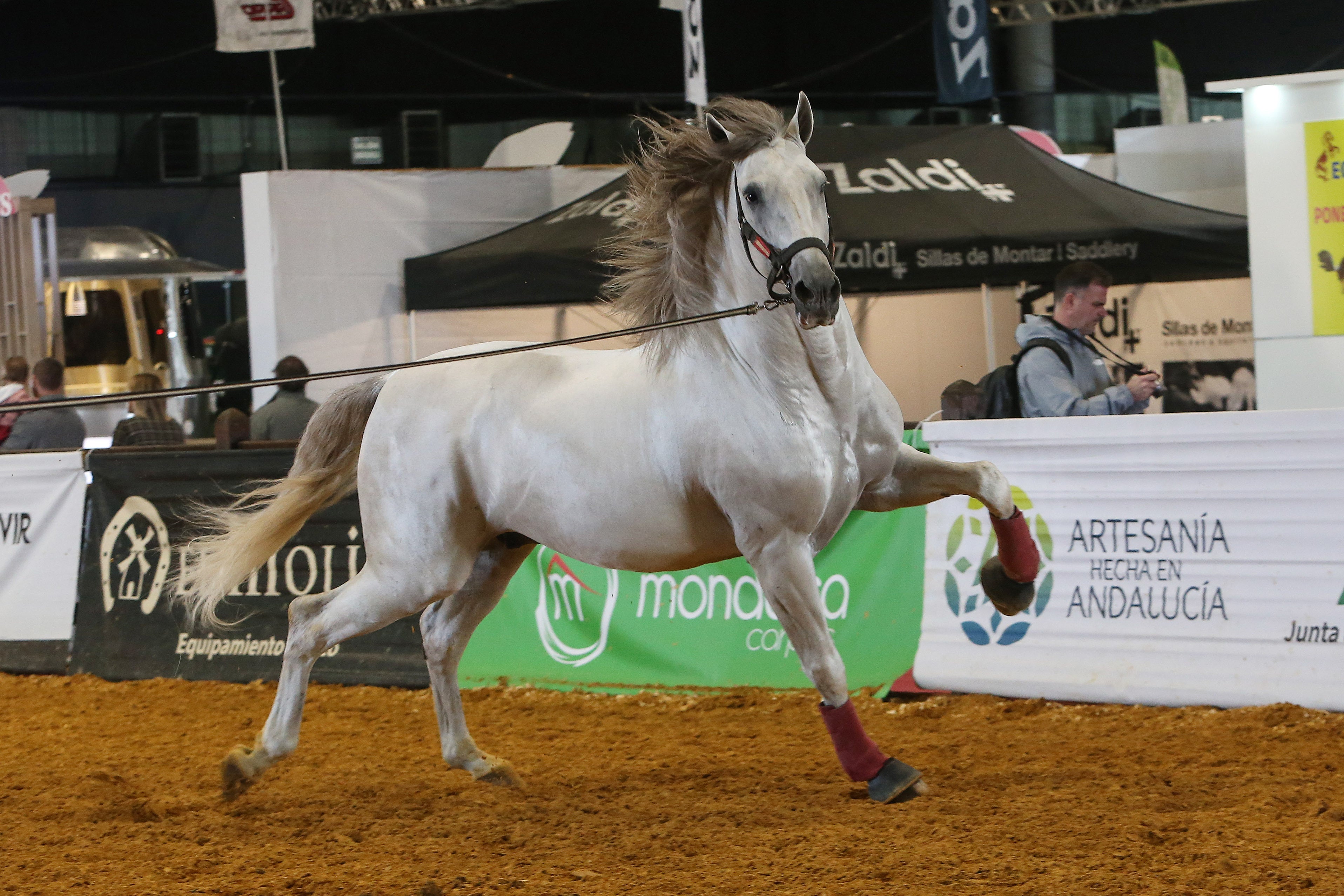 Las mejores imágenes de ambiente del primer día del Sicab