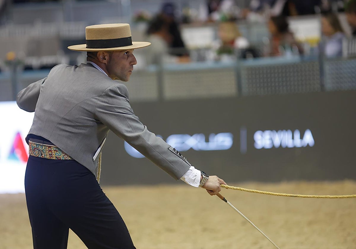 En imágenes, segundo día de Sicab 2025 en Sevilla