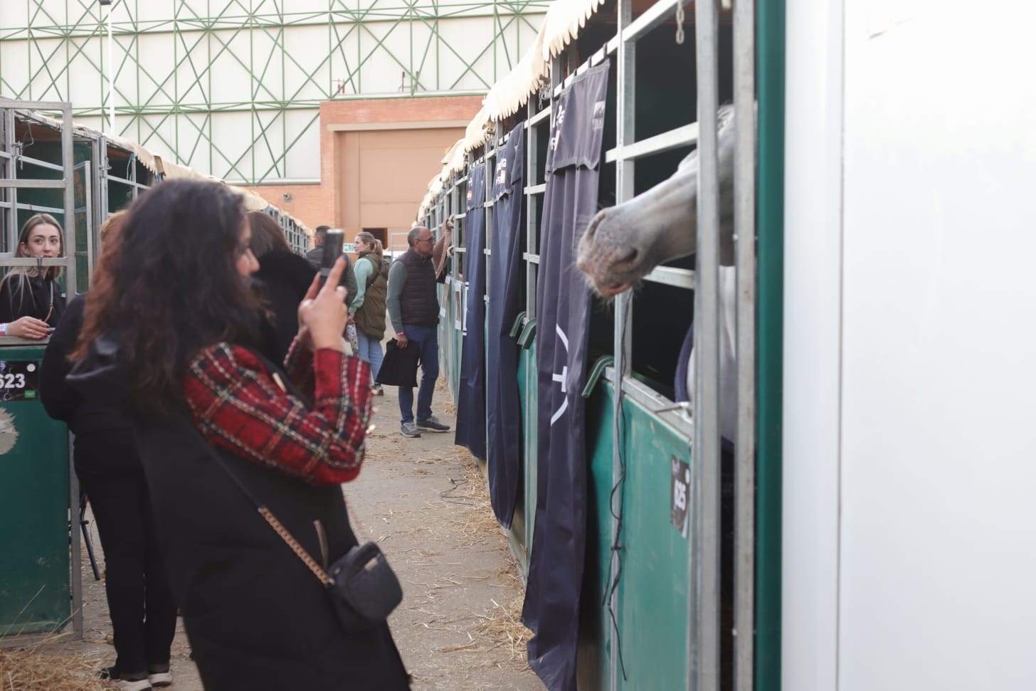 Así ha sido el cuarto día de Sicab en Sevilla: desde cocina en directo hasta demostración de trenzado para competición