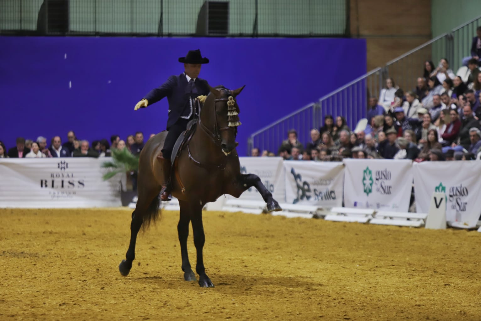 Así ha sido el cuarto día de Sicab en Sevilla: desde cocina en directo hasta demostración de trenzado para competición