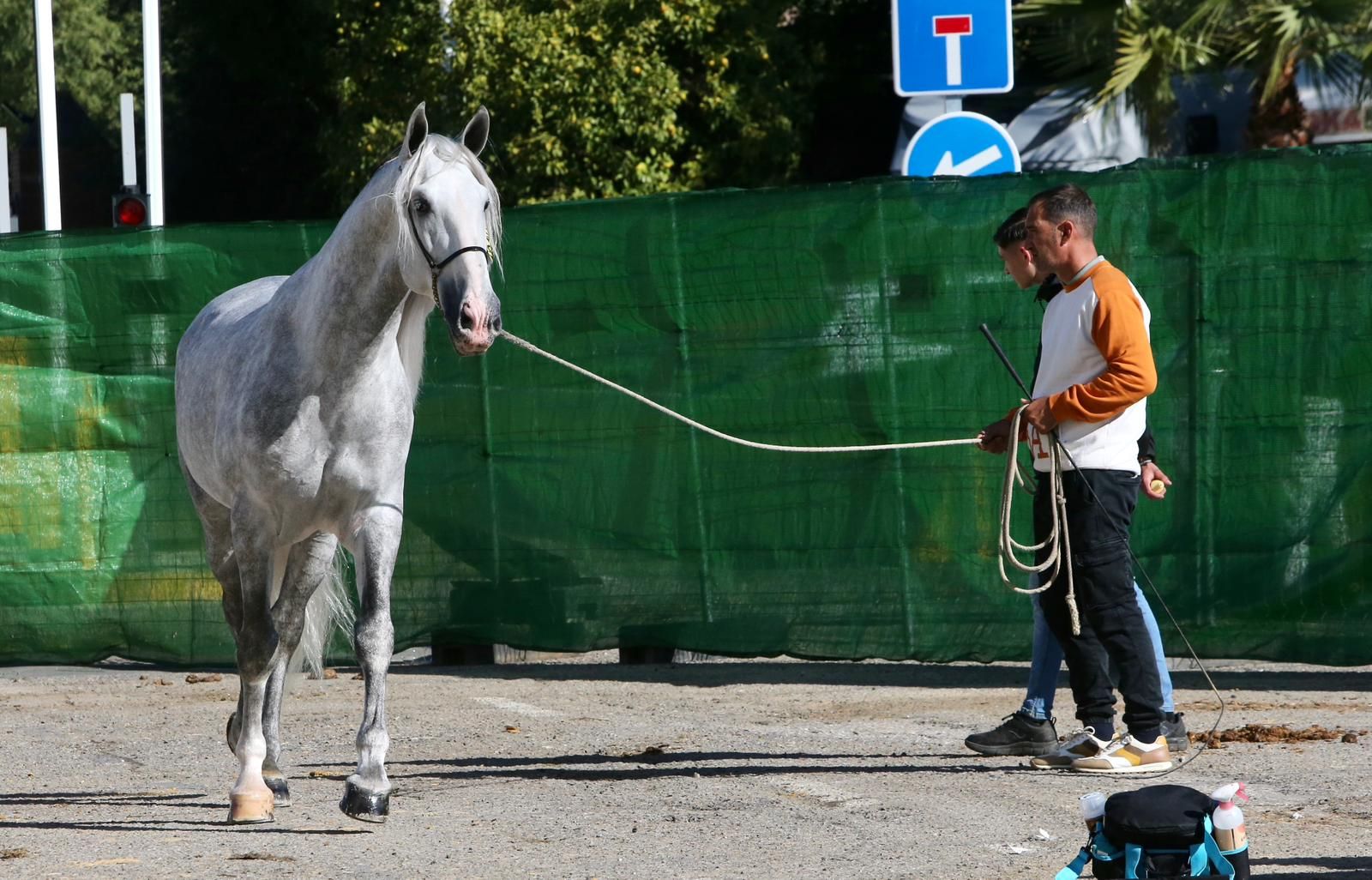 En imágenes: ambiente en el tercer día de Sicab en Fibes
