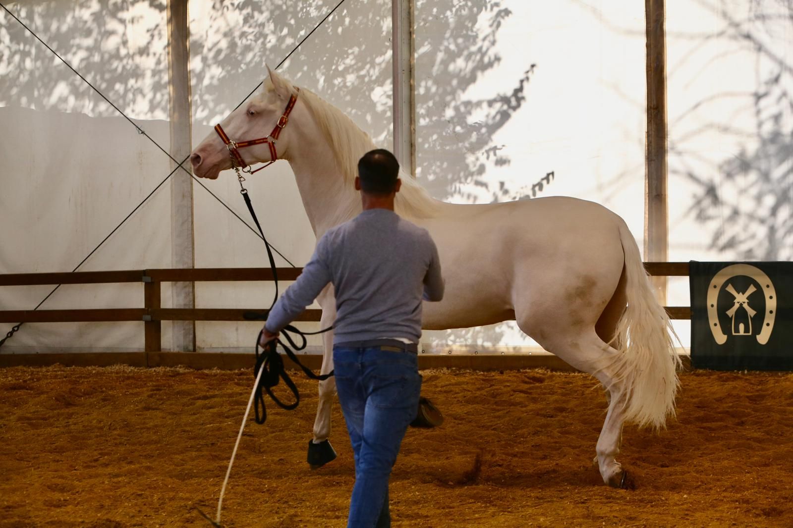 En imágenes: ambiente en el tercer día de Sicab en Fibes