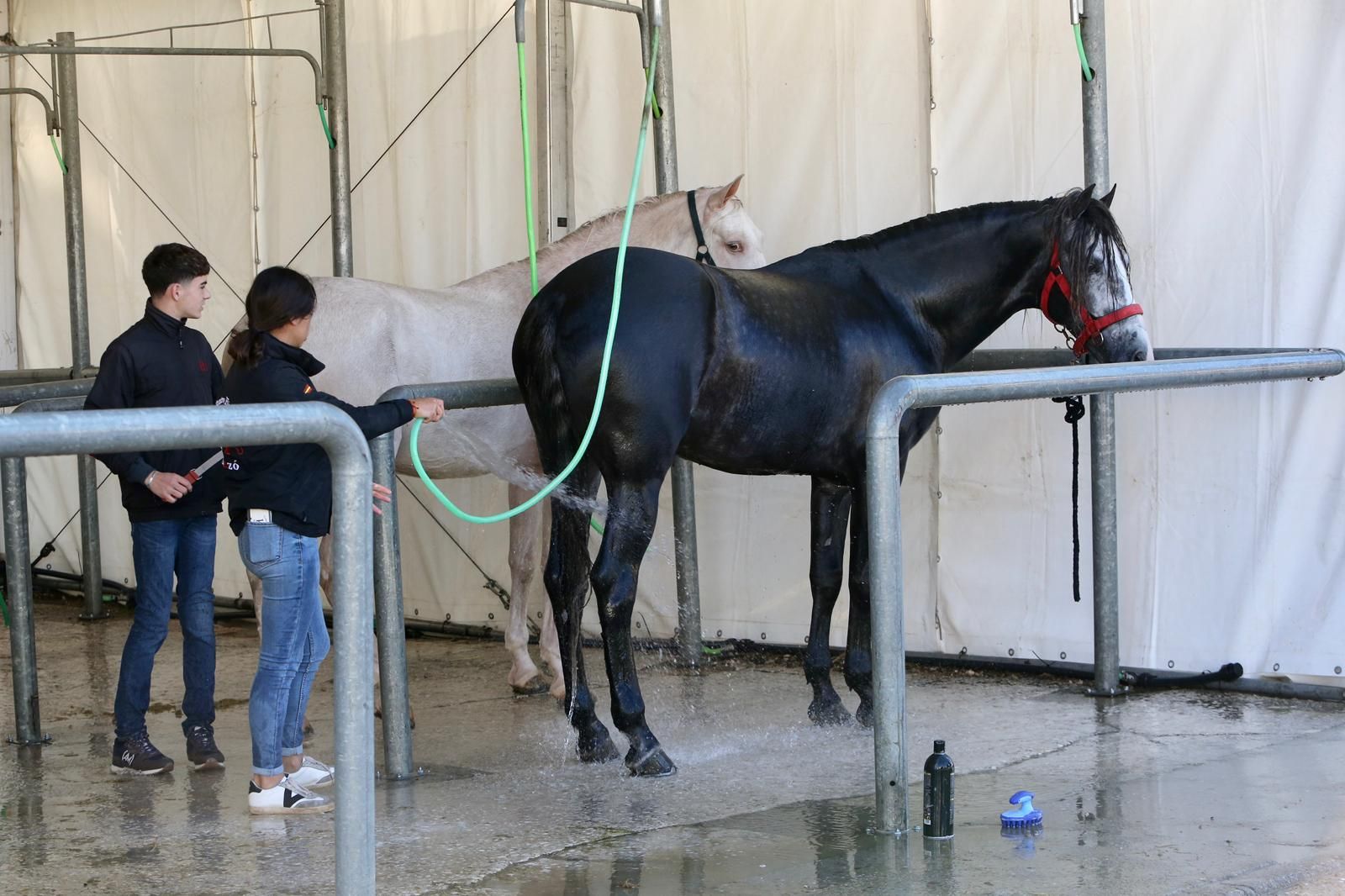 En imágenes: ambiente en el tercer día de Sicab en Fibes
