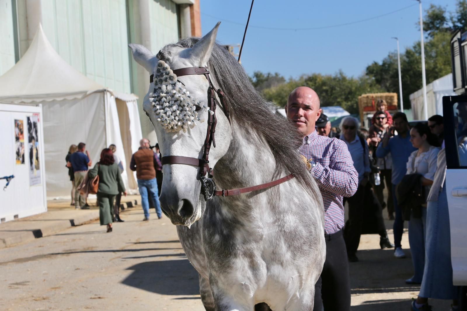 En imágenes: ambiente en el tercer día de Sicab en Fibes