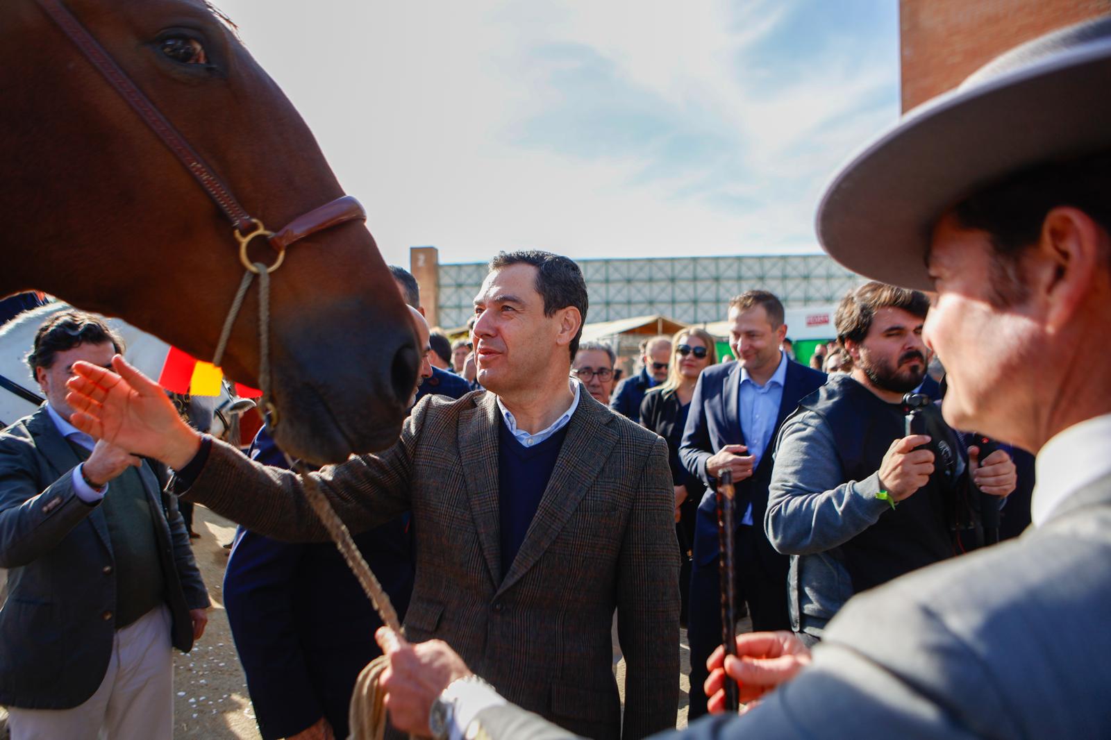 Penúltima jornada de Sicab en Sevilla: desde un campus de herraje hasta la visita de Juanma Moreno