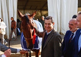 Penúltima jornada de Sicab en Sevilla: desde un campus de herraje hasta la visita de Juanma Moreno