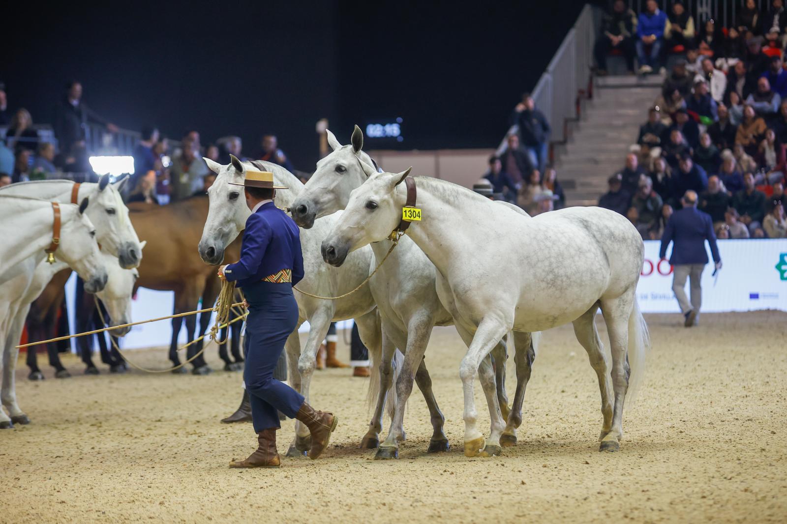 Penúltima jornada de Sicab en Sevilla: desde un campus de herraje hasta la visita de Juanma Moreno