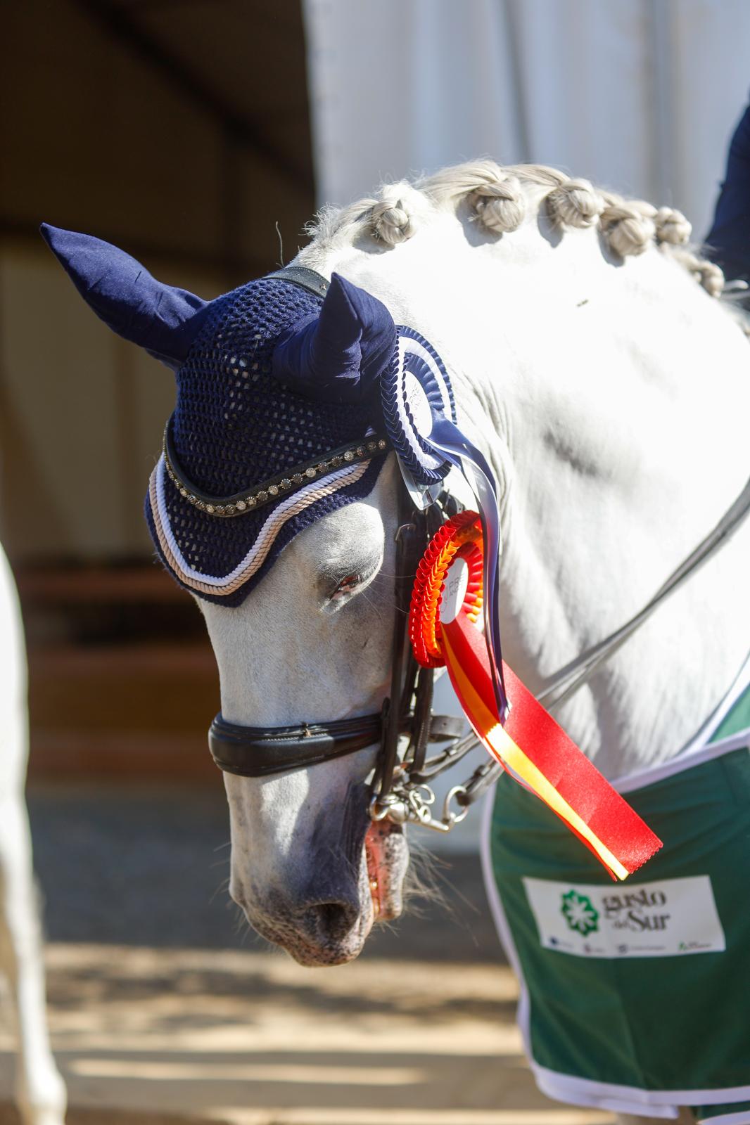 Penúltima jornada de Sicab en Sevilla: desde un campus de herraje hasta la visita de Juanma Moreno