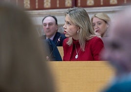 La intrahistoria de cómo Vox forzó el Pleno extraordinario de la Policía Local en Sevilla