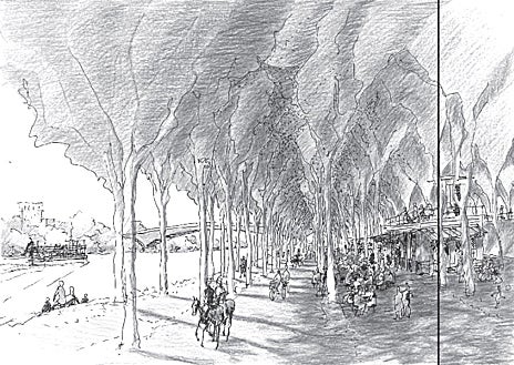 Imagen secundaria 1 - La colección de dibujos realizados por Pablo García de Zúñiga evoca paisajes icónicos de la ciudad de Sevilla como las plazas del San Lorenzo y el Salvador o la ribera del Guadalquivir, todos ellos decorados con una profusa masa arbórea