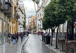 Las calles Alfonso XII y José Gestoso de Sevilla estrenarán toldos este verano