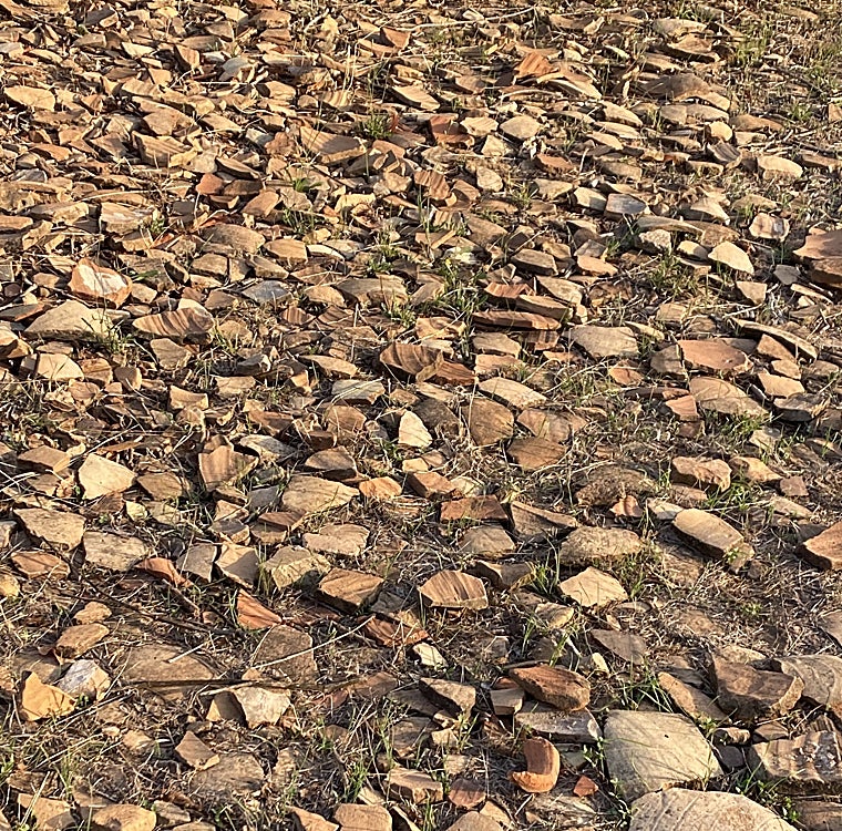 Restos de ánforas olearias béticas en el Monte Testaccio de Roma