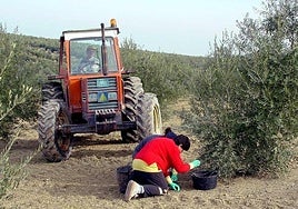 Andalucía supera los 3,5 millones de cotizantes en noviembre y ve caer el paro en casi 7.000 personas