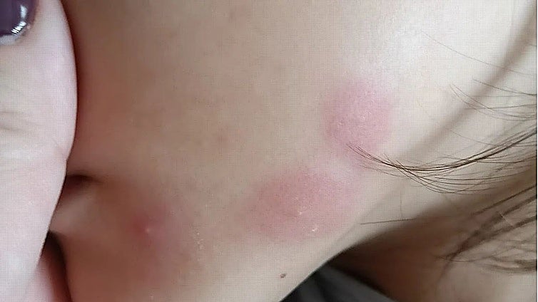 Convocan un corte de tráfico en la avenida de las Ciencias de Sevilla Este en demanda de mejorar la limpieza del colegio Jacaranda