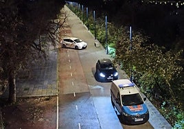 Pasarela de la Cartuja