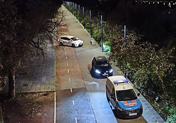 Pasarela de la Cartuja