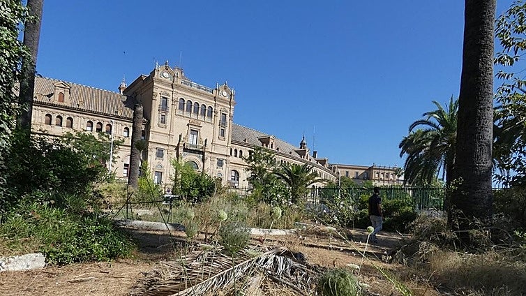 El Ayuntamiento de Sevilla inicia los trámites de la restauración del 'Jardín de Blancanieves' en el Parque de María Luisa