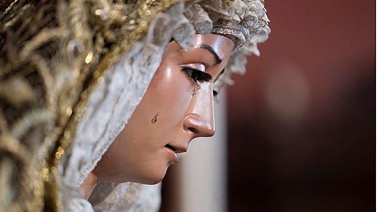 Los besamanos de la Inmaculada (V)