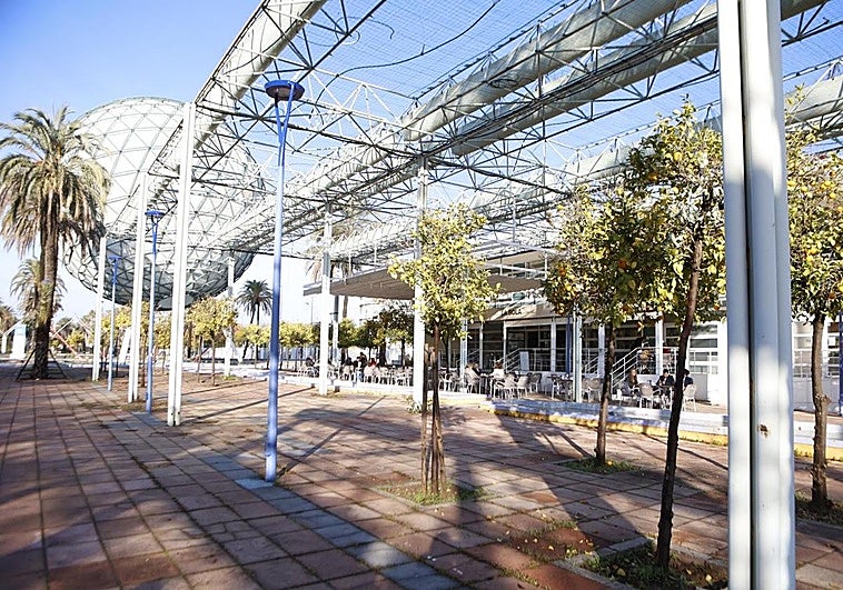 La UCO registra un bar de la Cartuja en Sevilla vinculado a la trama de Vicente Fernández y a la fontanera del PSOE