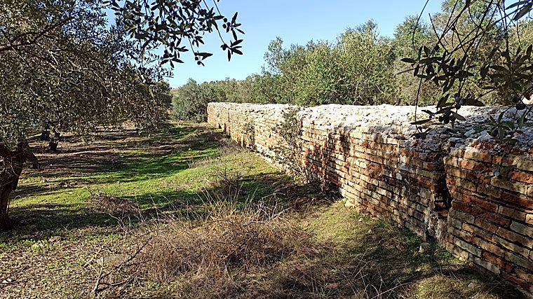 Remains of the Itálica aqueduct in an olive grove