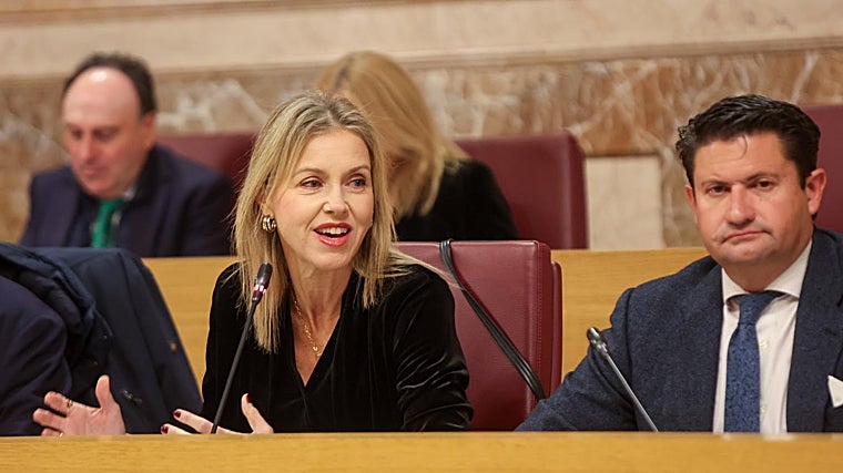 The spokesperson for Vox in Seville, Cristina Peláez, this Thursday at the municipal plenary session