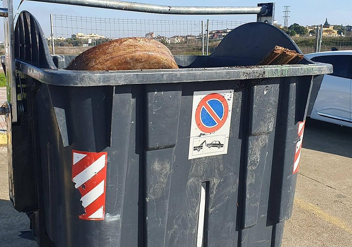 Restos del féretro en un cubo de basura a las puertas del cementerio de Tomares